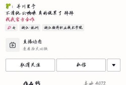 网红吃瓜是什么套路,揭秘网络热点背后的真相
